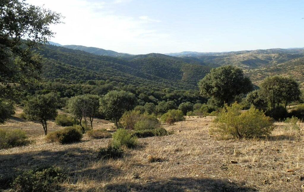 612_fincas-en-venta-65