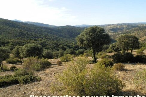 612_fincas-en-venta-66