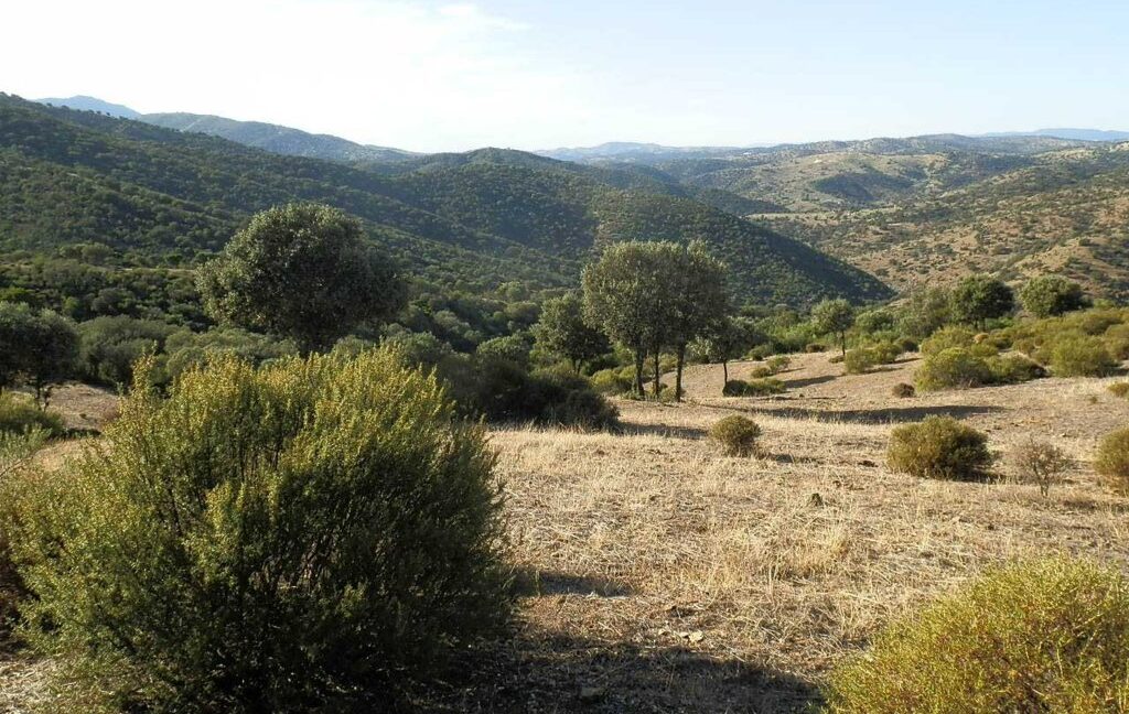 612_fincas-en-venta-67