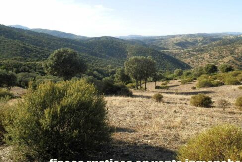 612_fincas-en-venta-67