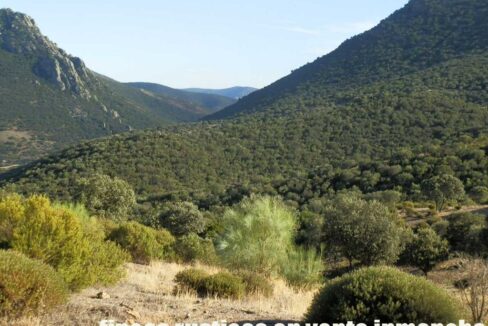 612_fincas-en-venta-68