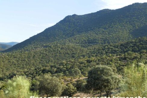 612_fincas-en-venta-69