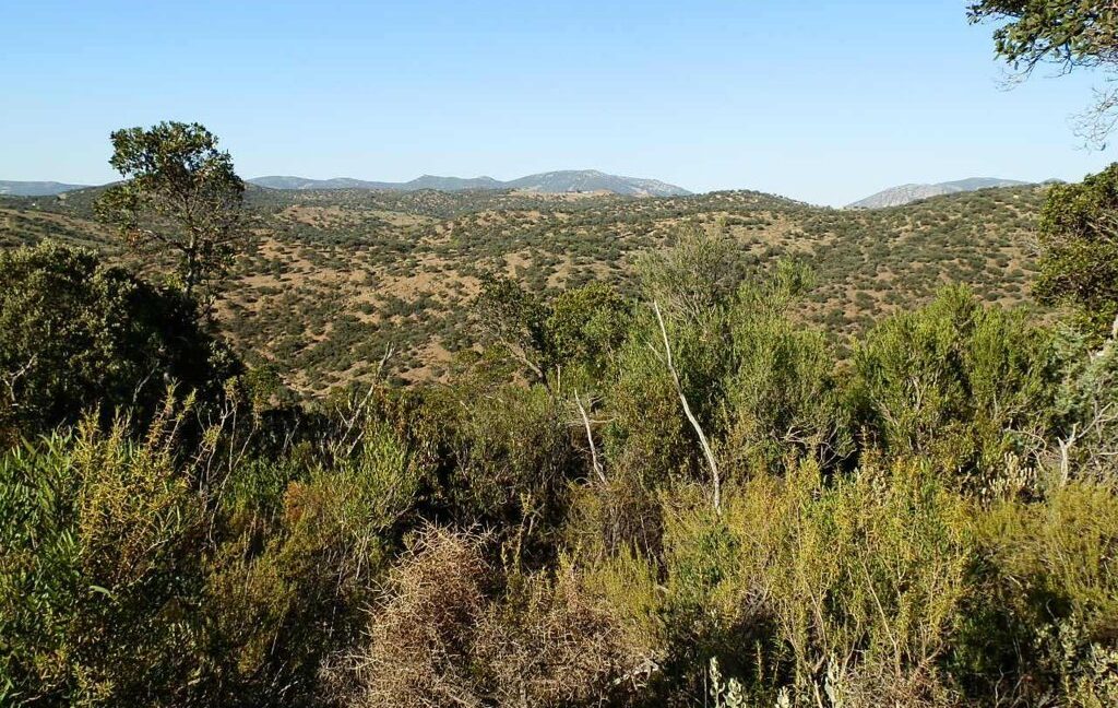 612_fincas-en-venta-70