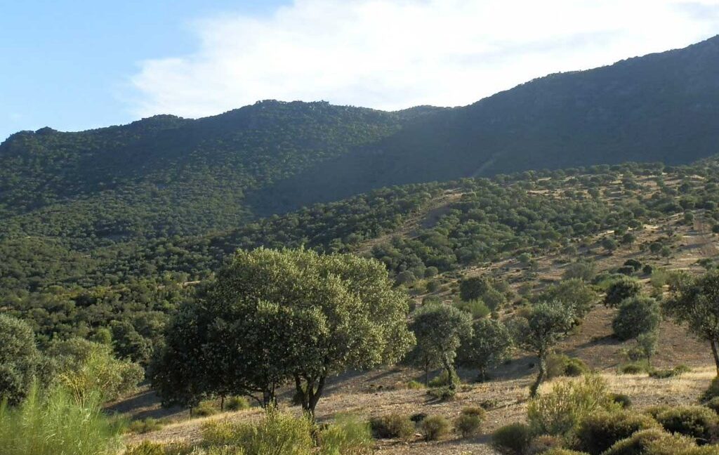 612_fincas-en-venta-72