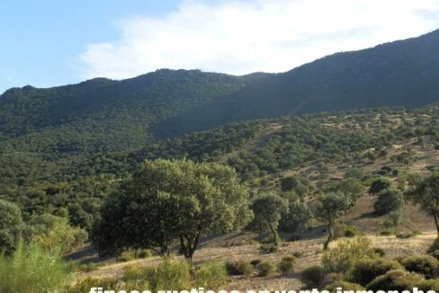 612_fincas-en-venta-72