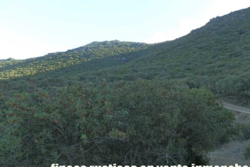 612_fincas-en-venta-79