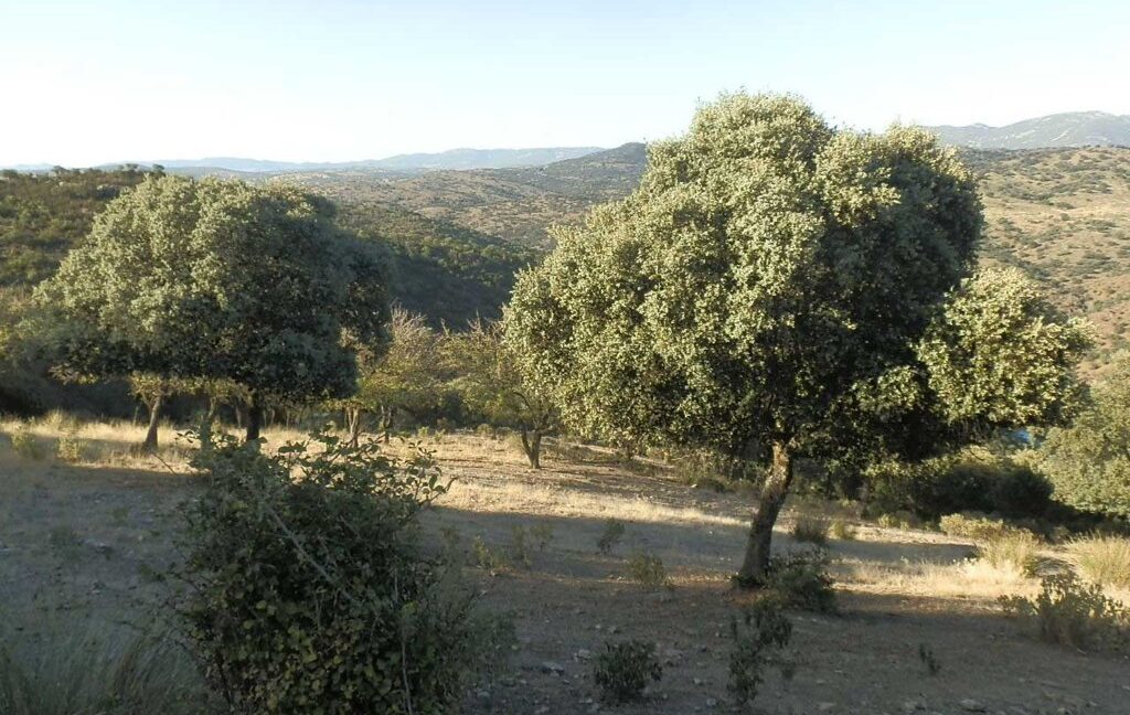 612_fincas-en-venta-82