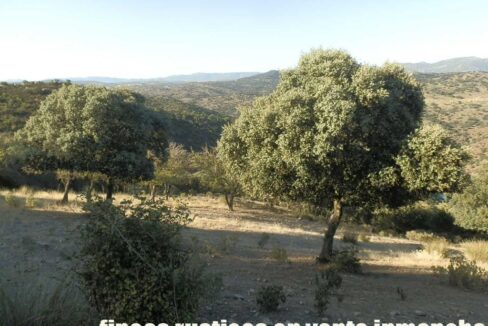 612_fincas-en-venta-82