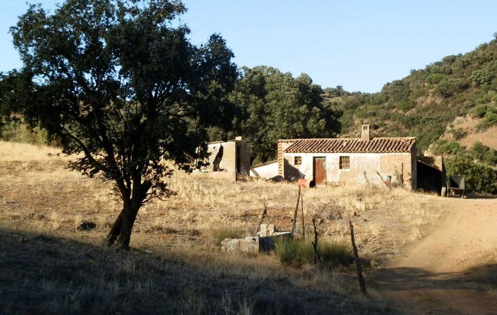 612_fincas-en-venta-85