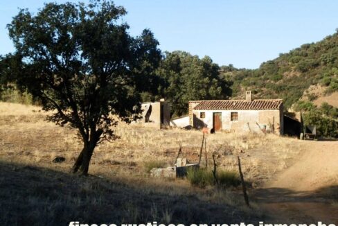 612_fincas-en-venta-85