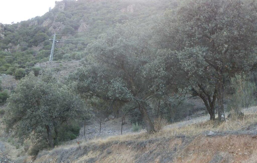 612_fincas-en-venta-86