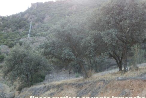 612_fincas-en-venta-86