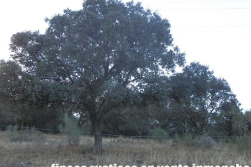 612_fincas-en-venta-87