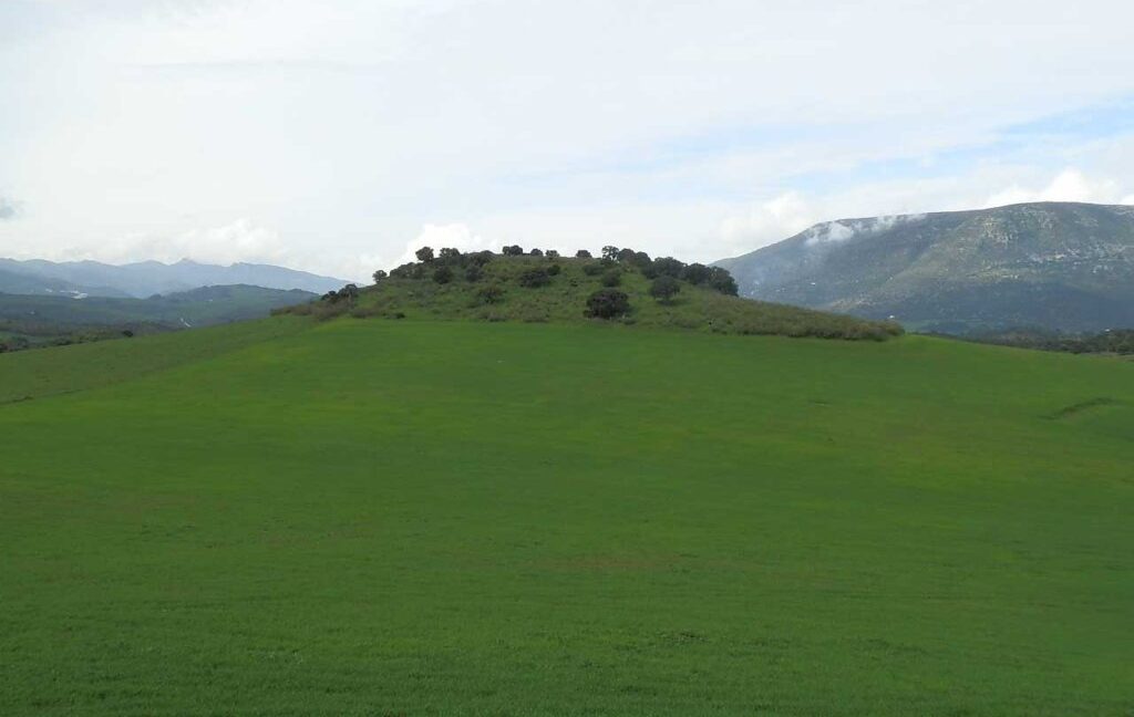 659_fincas-en-venta-053