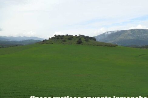 659_fincas-en-venta-053
