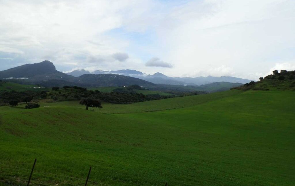659_fincas-en-venta-054
