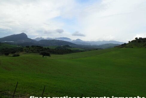 659_fincas-en-venta-054