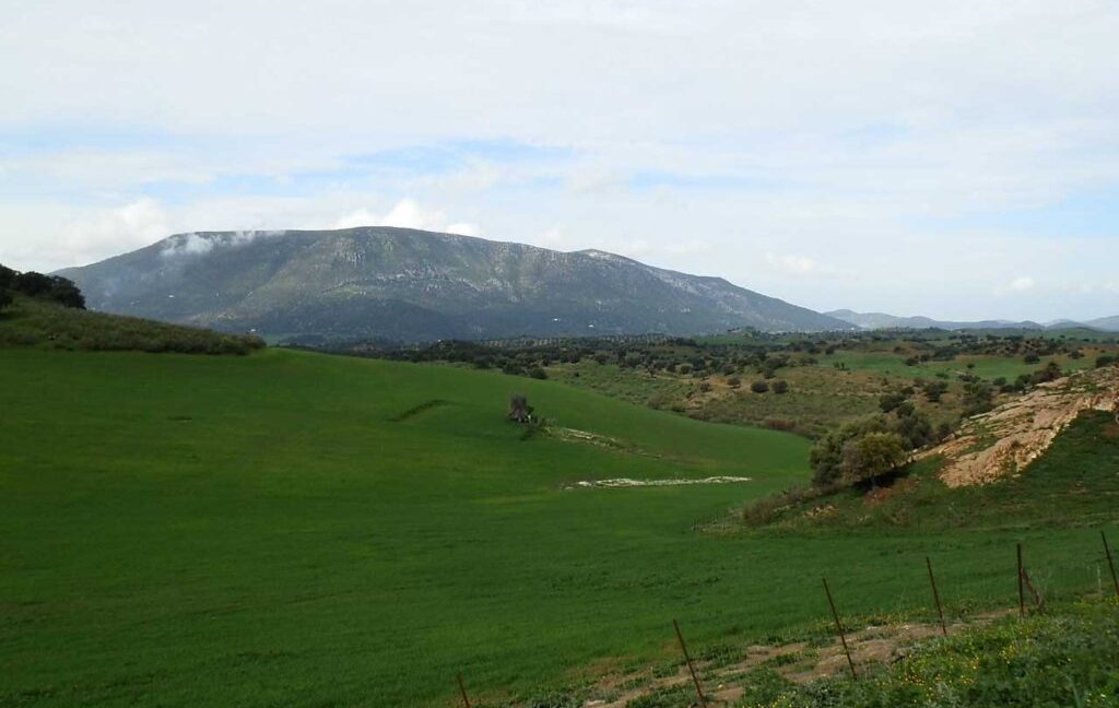 659_fincas-en-venta-055