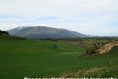 659_fincas-en-venta-055