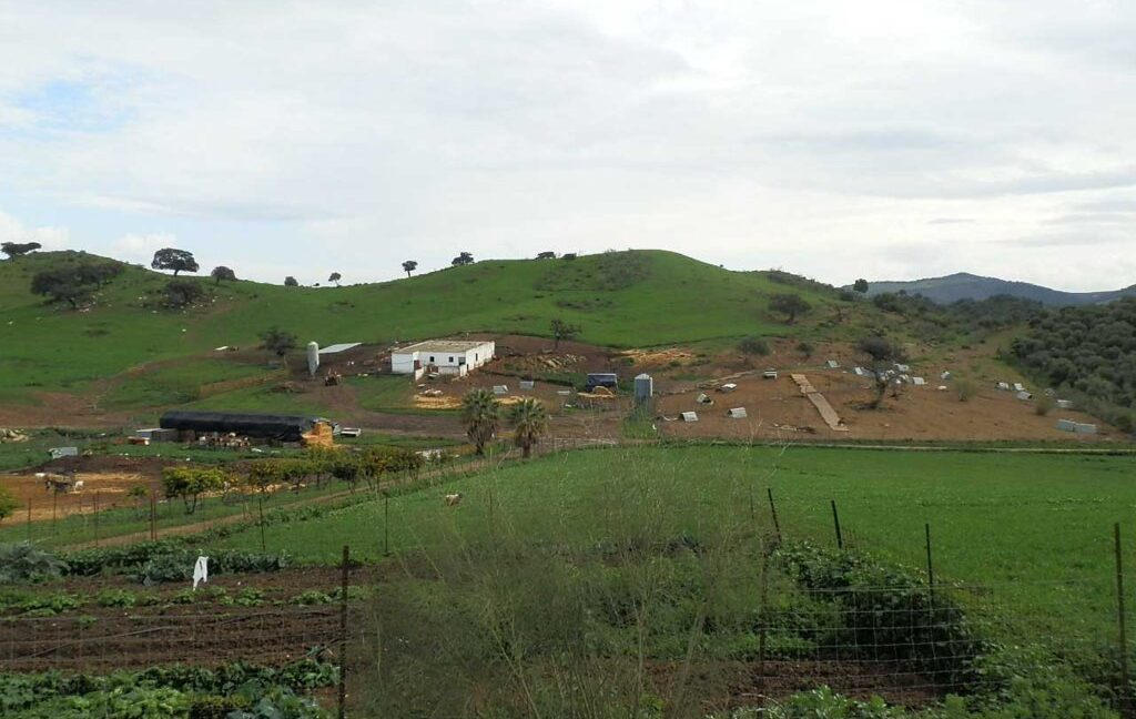 659_fincas-en-venta-060
