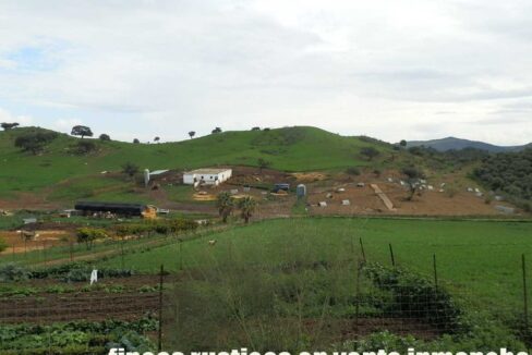659_fincas-en-venta-060