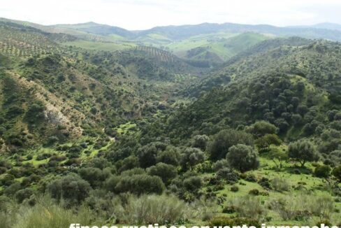 659_fincas-en-venta-068