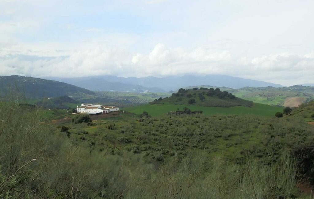 659_fincas-en-venta-077