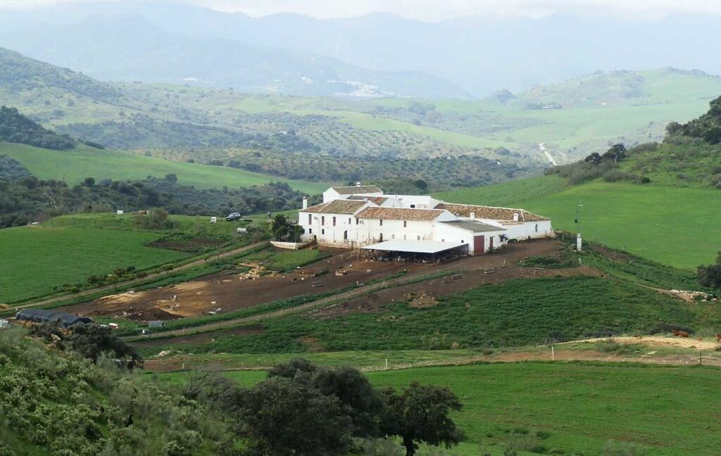 659_fincas-en-venta-081