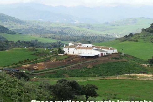 659_fincas-en-venta-081