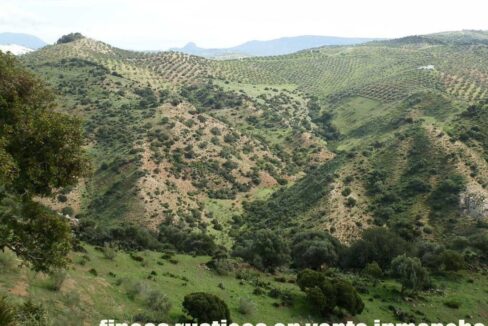 659_fincas-en-venta-088