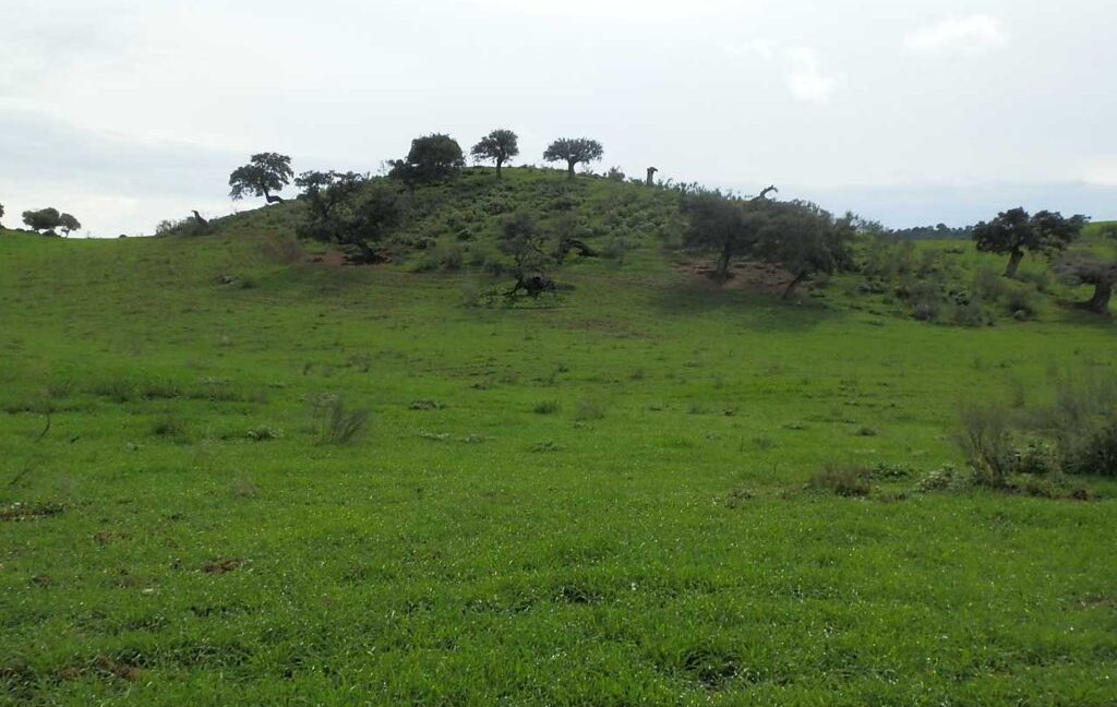 659_fincas-en-venta-089