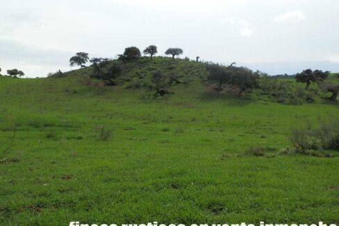 659_fincas-en-venta-089