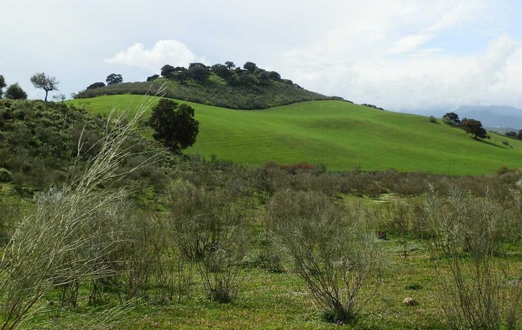 659_fincas-en-venta-095