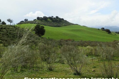 659_fincas-en-venta-095