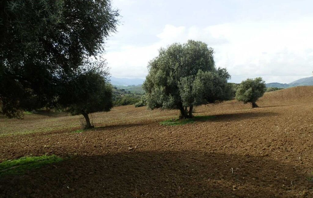 659_fincas-en-venta-103