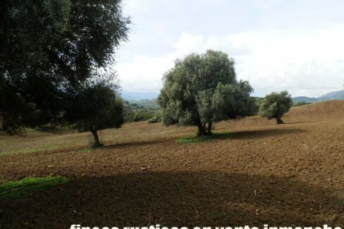 659_fincas-en-venta-103