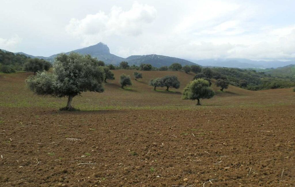 659_fincas-en-venta-104