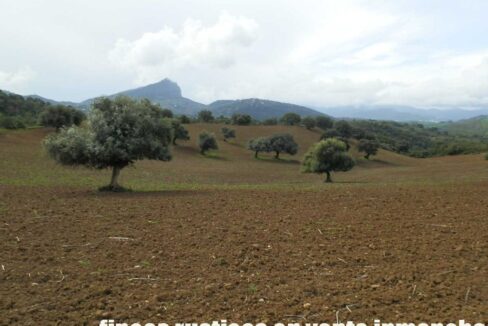 659_fincas-en-venta-104