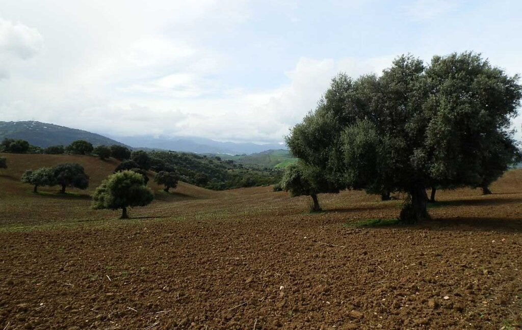 659_fincas-en-venta-105