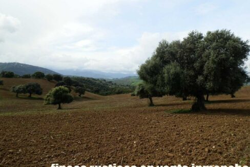 659_fincas-en-venta-105