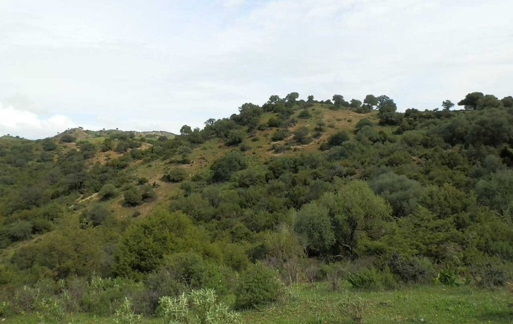 659_fincas-en-venta-106