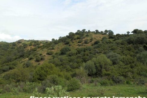 659_fincas-en-venta-106