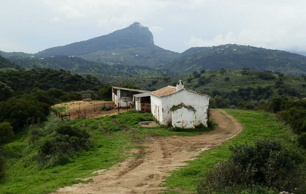 659_fincas-en-venta-108