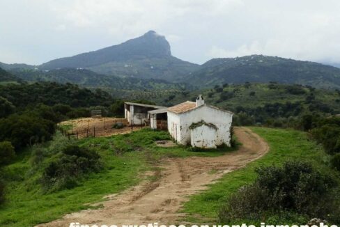 659_fincas-en-venta-108