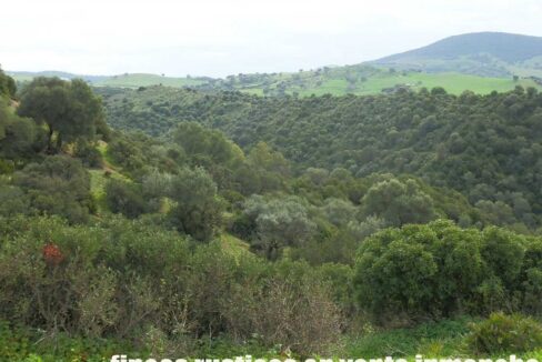 659_fincas-en-venta-109