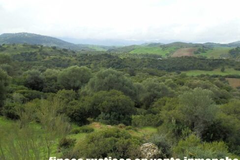659_fincas-en-venta-115