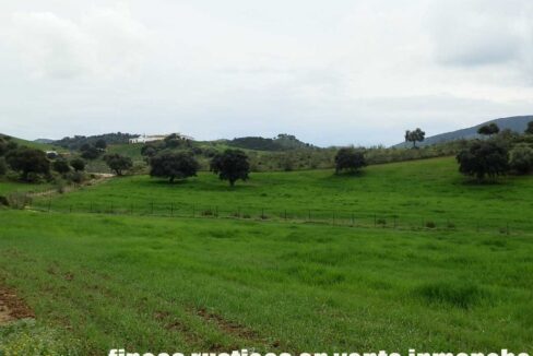 659_fincas-en-venta-119