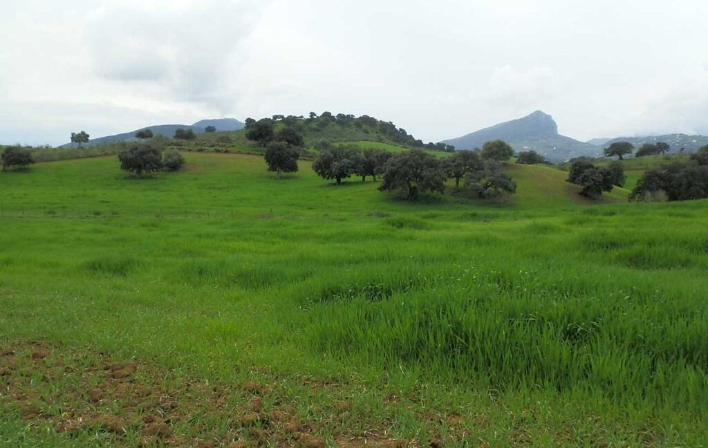 659_fincas-en-venta-120