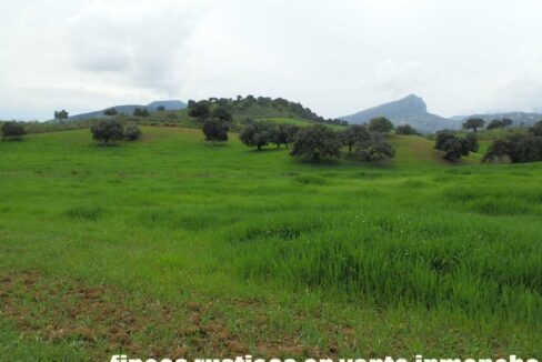 659_fincas-en-venta-120