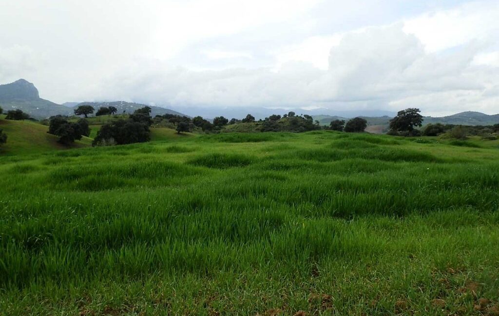 659_fincas-en-venta-121